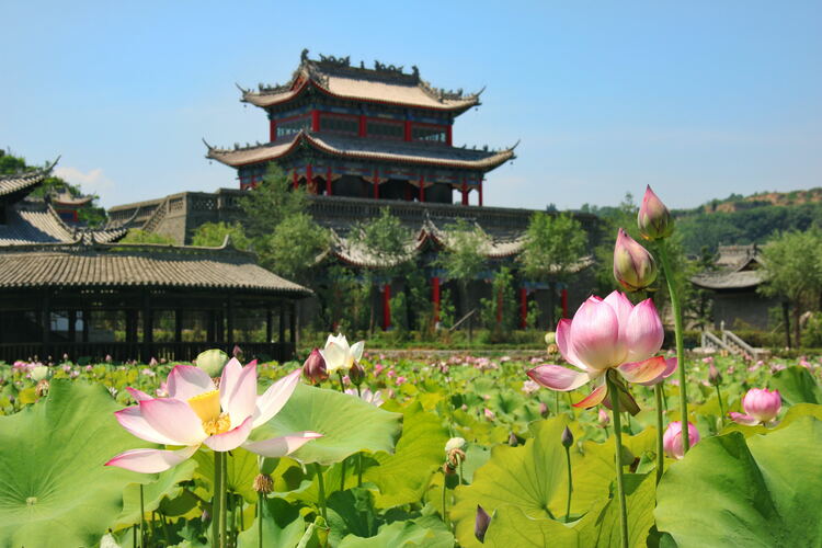 【云游渭南】心中若有桃花源，此處便是水云間！待疫情散盡，一起來渭南桃花源賞美景、觀民俗、享美食_fororder_2